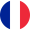 French Language Switch