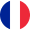 French Language Switch