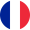 French Language Switch
